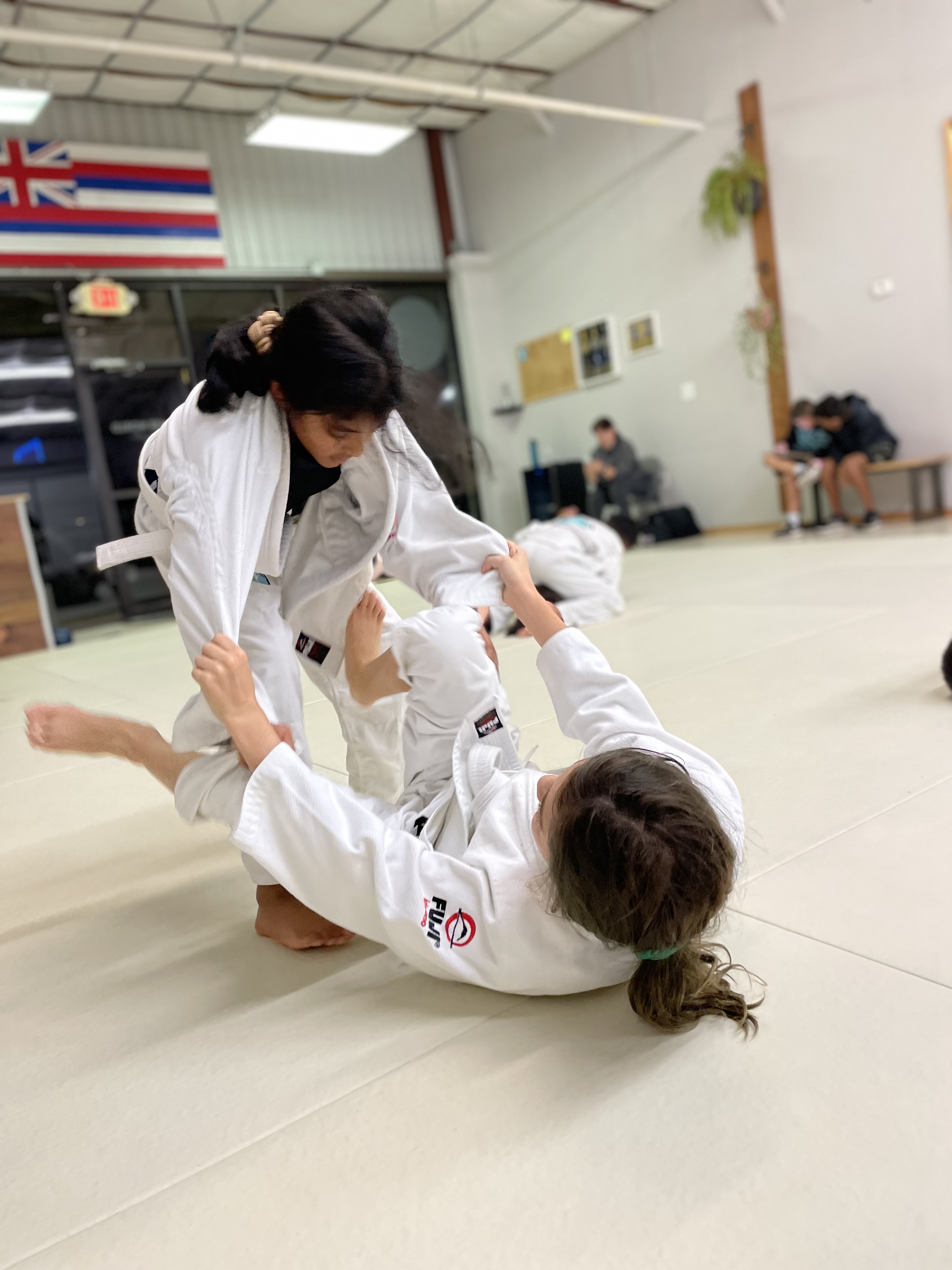 Free World Jiu Jitsu facility image