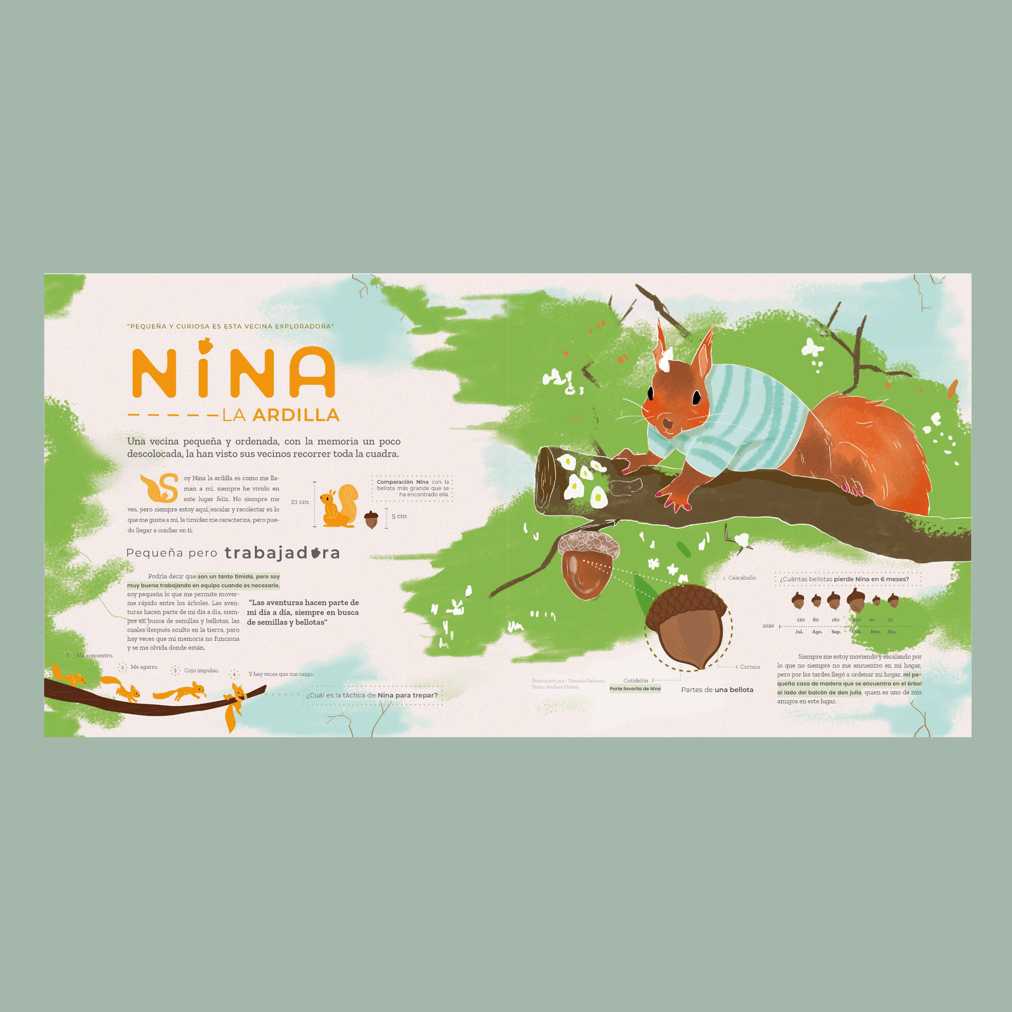 Nina la Ardilla diagramación.png