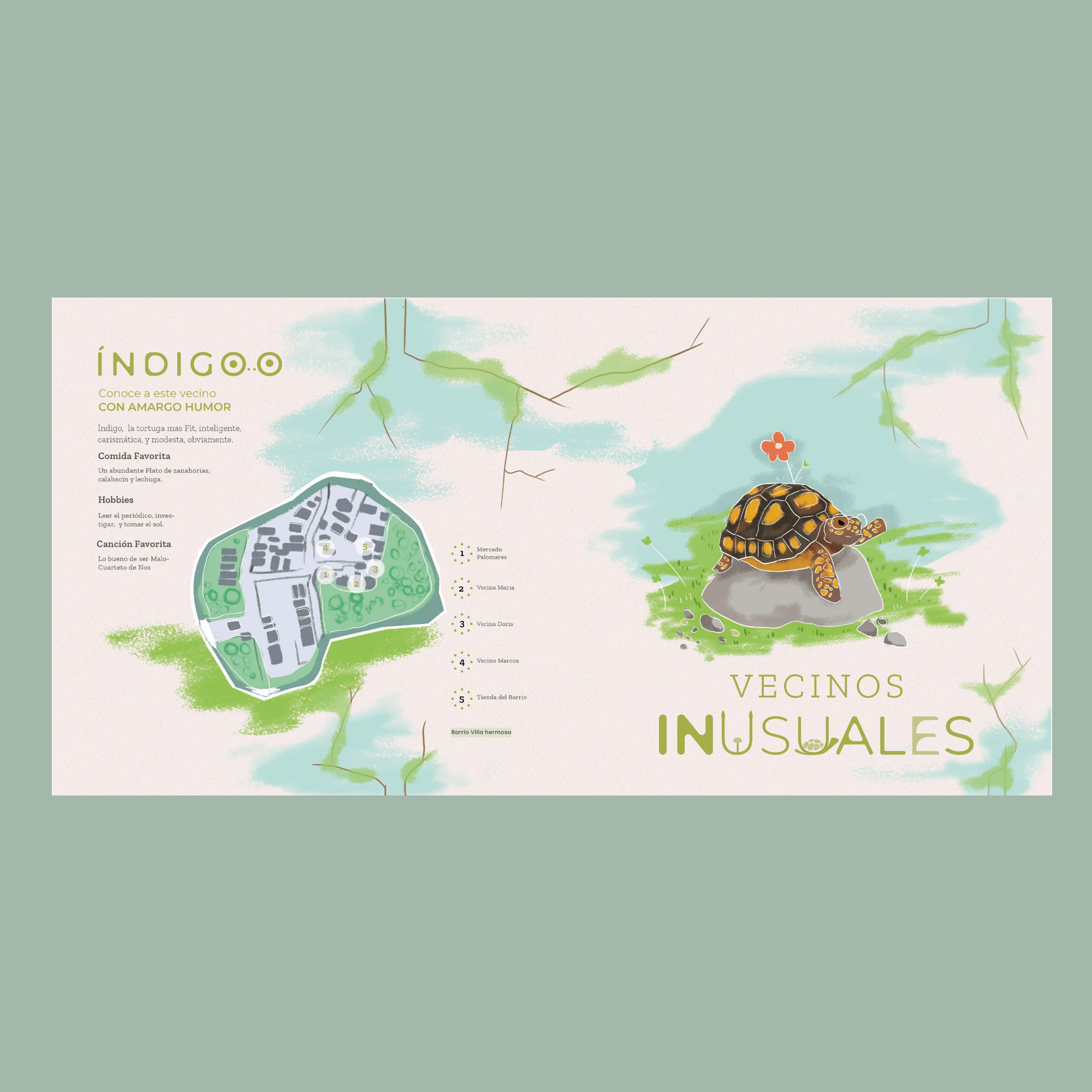 Indigo la Tortuga.png