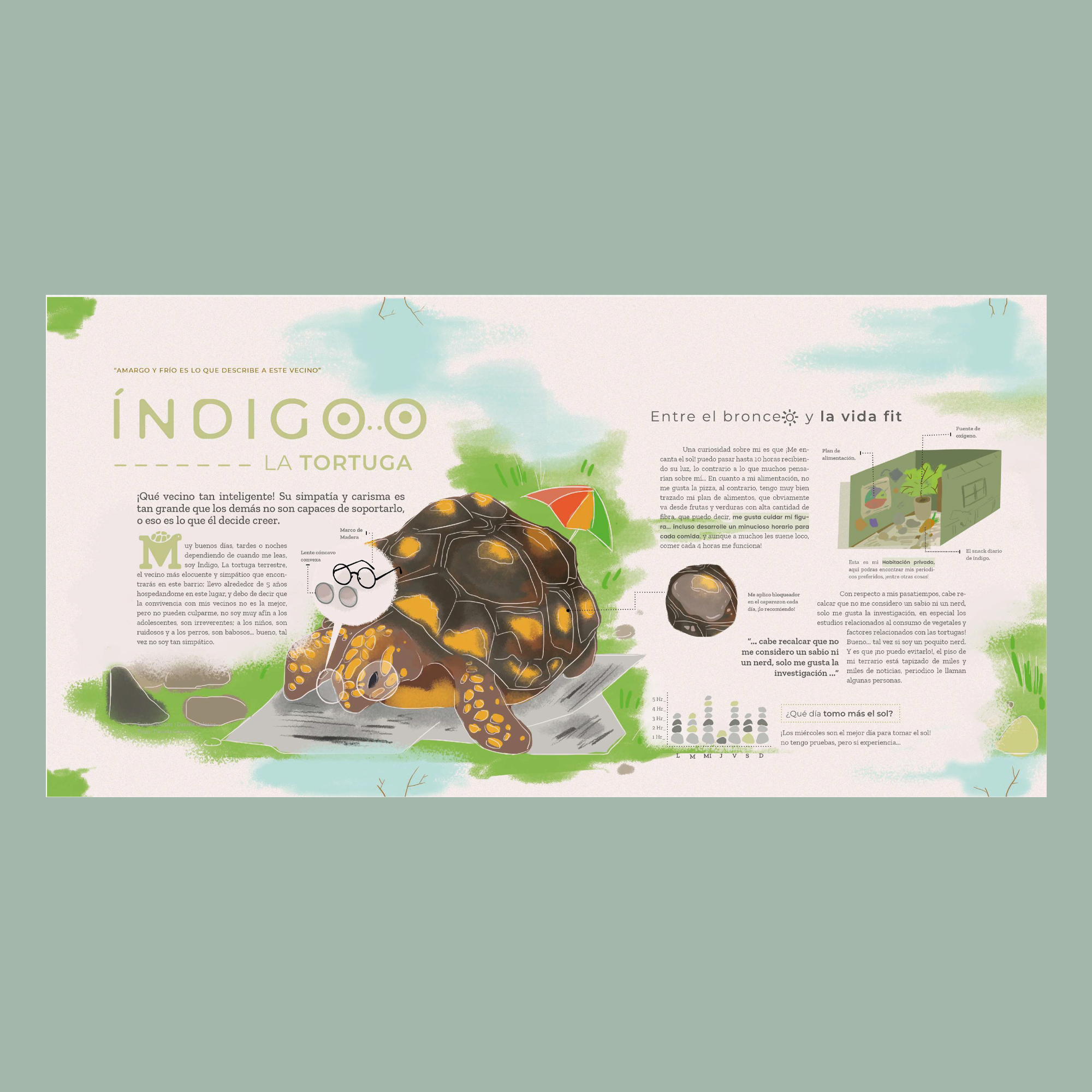 Indigo la Tortuga diagramación.png