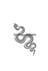 NO immage available png serpent-01.png
