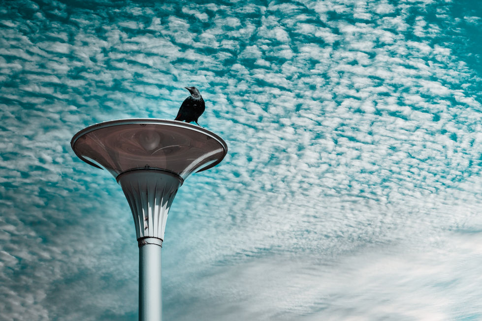 _DSF7790-Edit-2