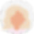 Ally.png