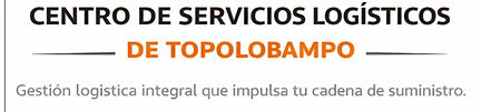 logocslt_edited.jpg