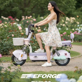 EFORGE BYVIN SO ebike