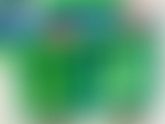 夏のネバネバ野菜「オクラ」で夏バテ知らず