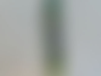 青い部分まで美味!当店の極上「極楽ネギ」