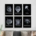 Imagens Grátis para Quadros de Escritório Prontas para Baixar Imprimir e Decorar o seu Home Office Lobo Branco Preto e Dourado Frases