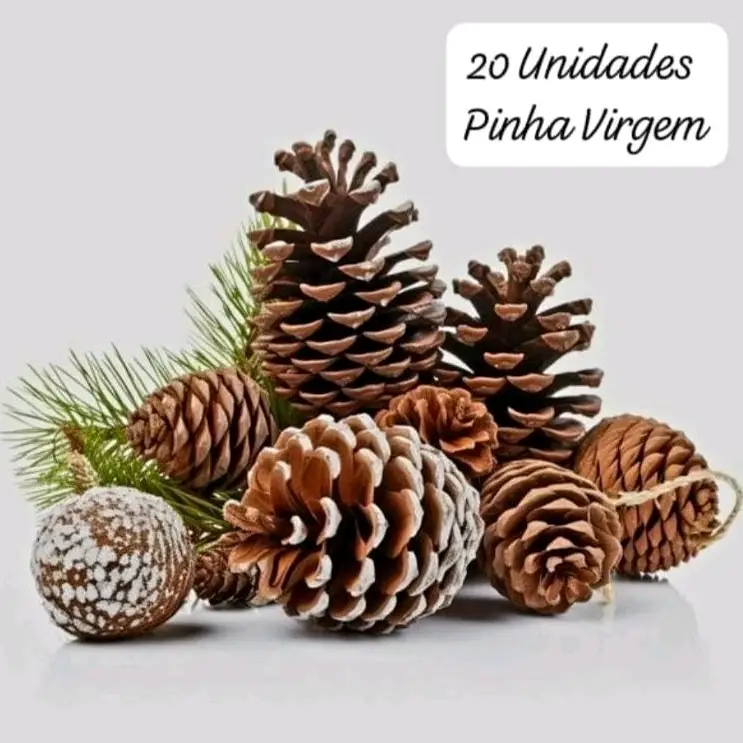 Pinha Natural para decoração de natal DIY fácil e barato