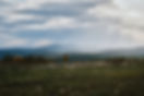_XT35427 1.jpg