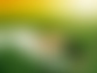 LA IMPORTANCIA DE RELAJAR NUESTRA MENTE