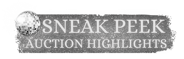 Auction Website Pieces (10).png