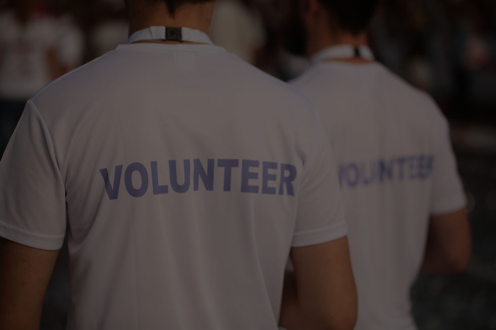 Back of a group of volunteers