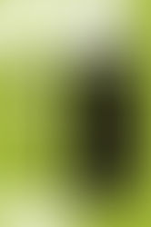 Porter Mill Open Studios 11/19