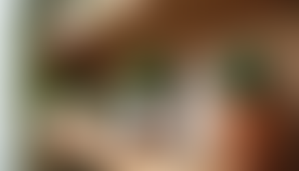 Pagan Home Decor: Bringing Nature Indoors with Pagan-Inspired Decor