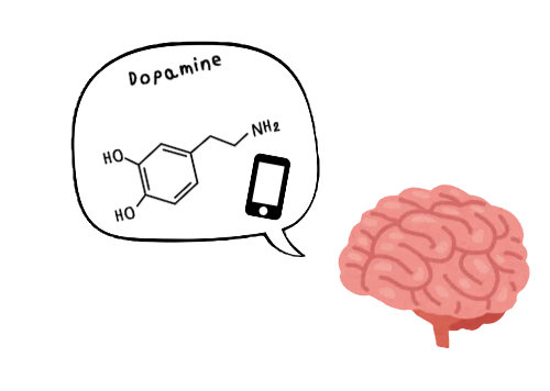 Dopamina é um neurotransmissor produzido pelo cérebro que participa dos processos de motivação, recompensa, aprendizagem e controlo dos movimentos.