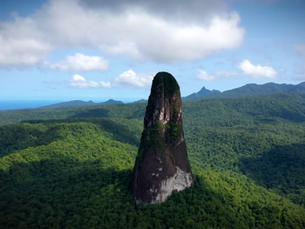 Do Canto do Truqui ao Vibrar das Telas: Como a Hiperconectividade Afeta a Nossa Mente