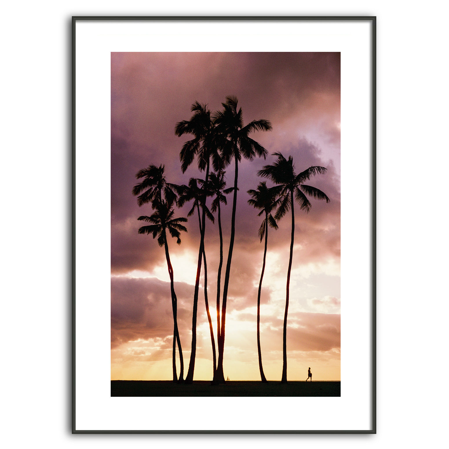 Waikiki Palms