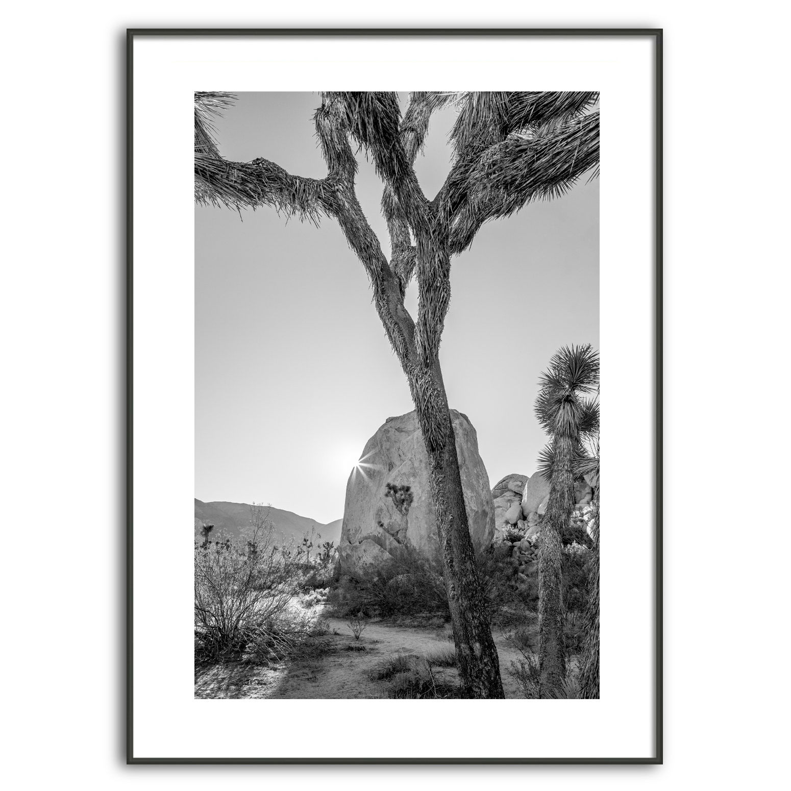 Big Rock at Joshua Tree