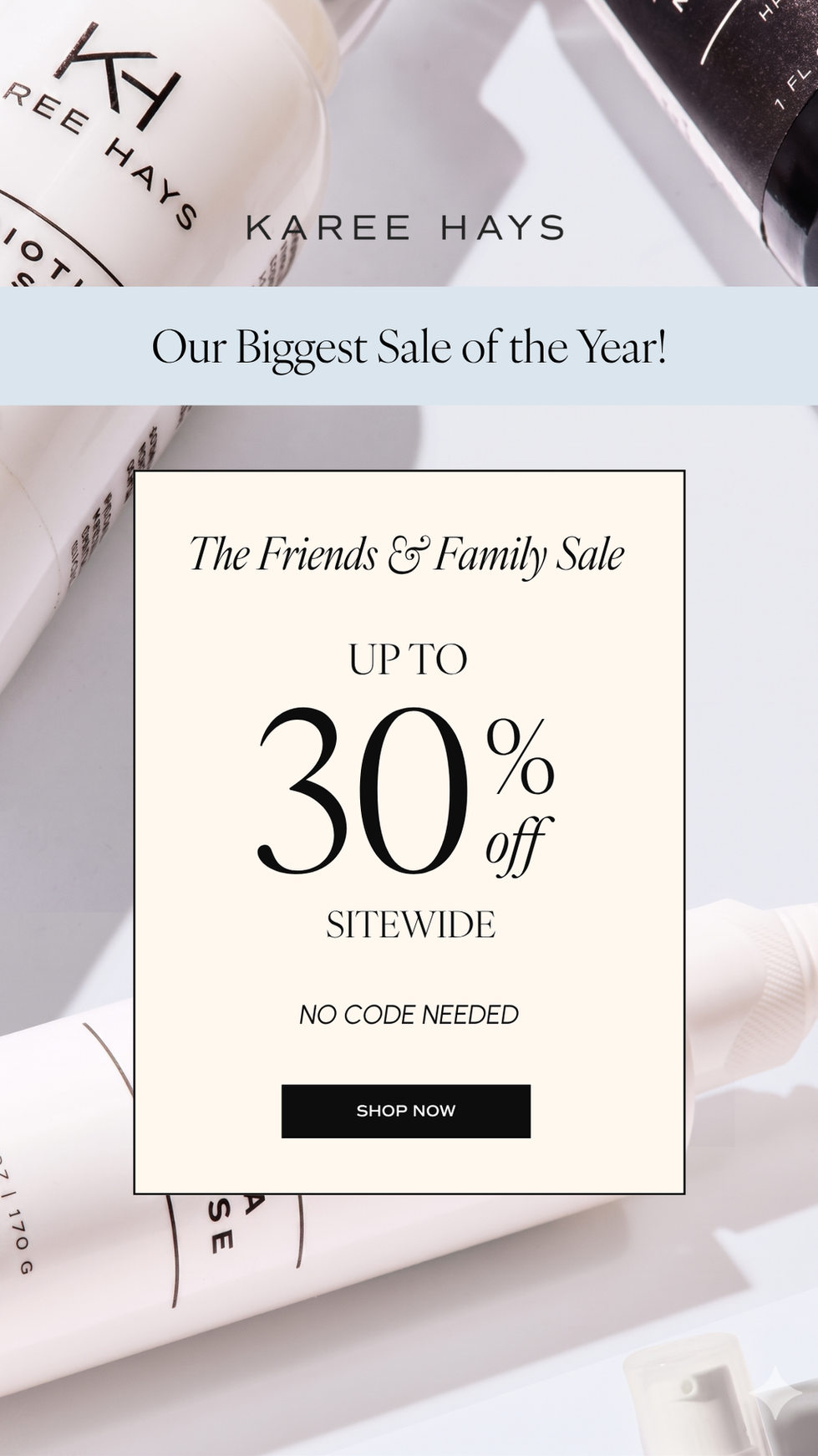 Friends & Family Sale Campaign Ad — Minimalist Sitewide Promo