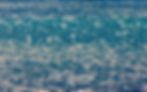 Big Island Hawaii 2021-173-114.jpg
