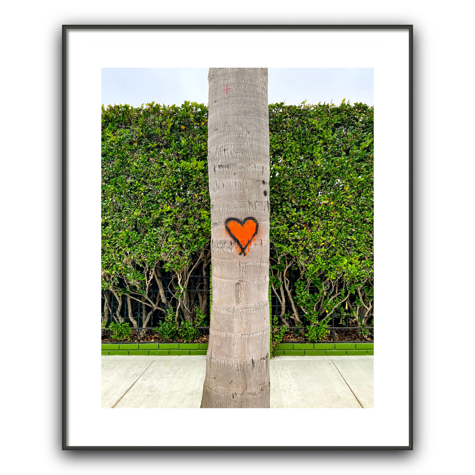 Heart on Palm
