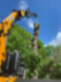tree-removal