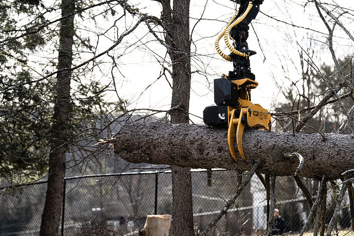 Tree Cutting with Grapple Saw