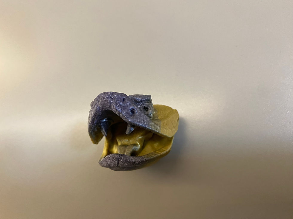 Thumbnail: Rattlesnake Head Magnet