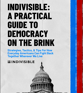 INDIVISIBLE_A_Practical_Guide_to_Democracy_on_the_Brink_0.png