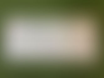 シーモア公式オンライン限定 『春が待ちきれなくフライングする”SPIボードプレゼント”キャンペーン開催!