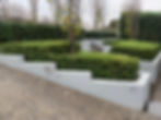 Hedge