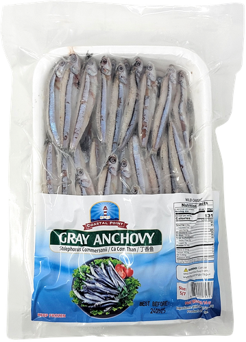 GRAY ANCHOVY
