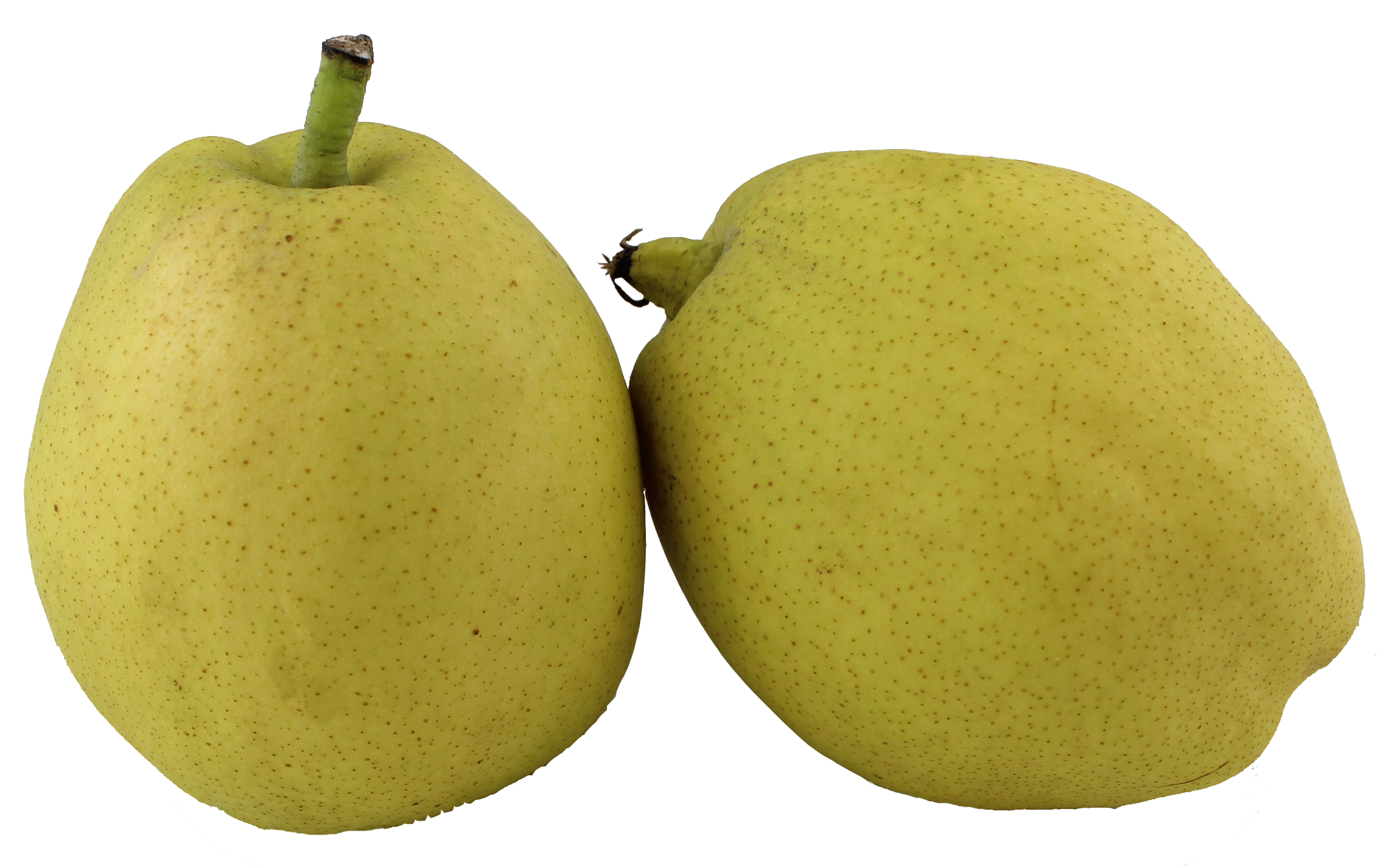 FRAGRANT PEAR