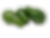 AVOCADO FLORIDA