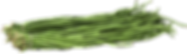 GREEN LONG BEAN