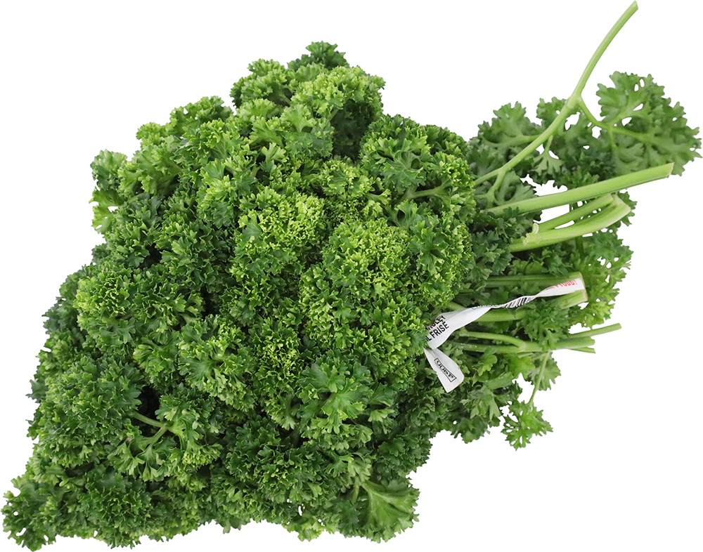 CURLY PARSLEY