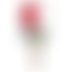 ALARMA ACÚSTICA DE SOBRELLENADO