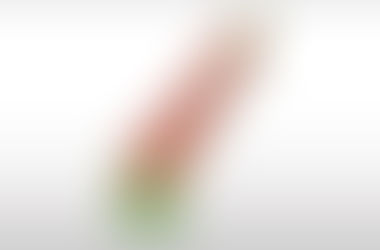 Sinfines transportadores de canal CA