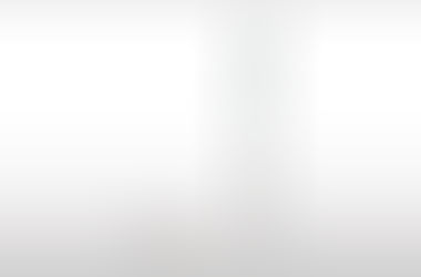 Sinfines verticales de elevación VE