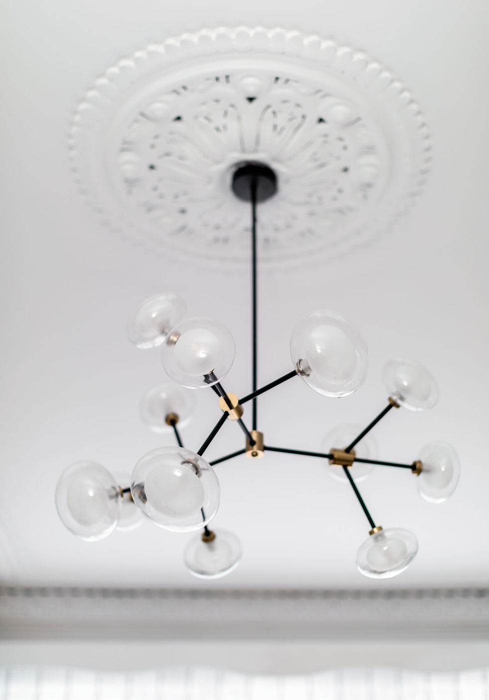The original rose moulding with a new modern light fixture creates a unique modern new victorian look.