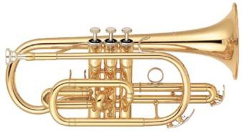 cornet_Sib.jpg