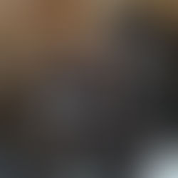 Filhotes de Boxer Disponíveis