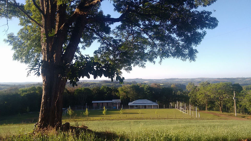 Vista do Canil