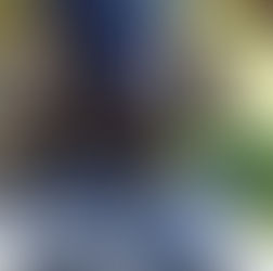 Filhotes de Boxer Disponíveis