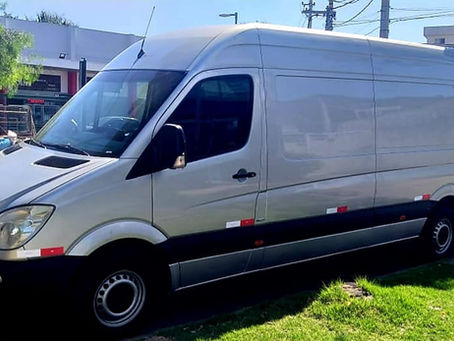 Transporte dos Filhotes.