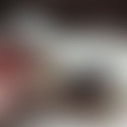 Filhotes de Dogue Alemão