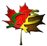 LOGOacecae.webp