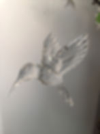 Humming Birds