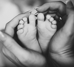 Untitled design (5).png